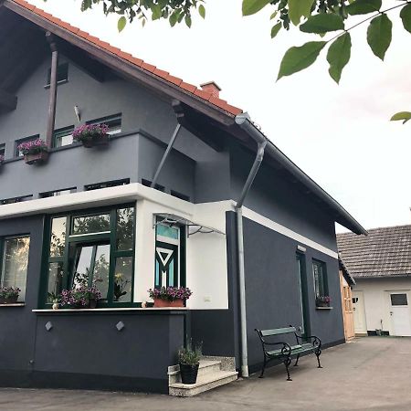 Apartman I Soba Hadela Sveti Martin Na Muri Εξωτερικό φωτογραφία