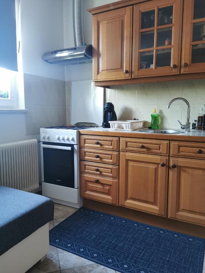 Apartman I Soba Hadela Sveti Martin Na Muri Εξωτερικό φωτογραφία